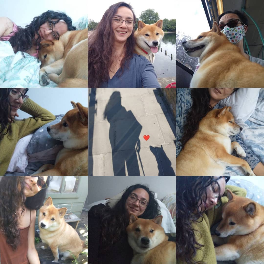 Nine favourite pics of me and my boy in 2021 ❤️

#shibainu #shibasofinstagram #dog #meandmydog
